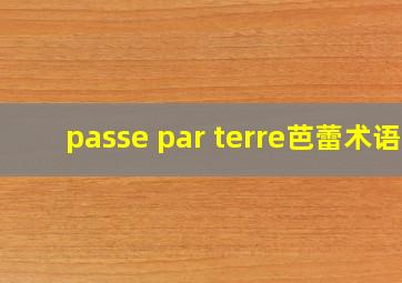 passe par terre芭蕾术语